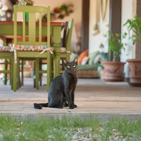 Casa Del Vento Alloggio per agriturismo San Presto