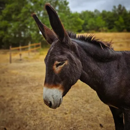 Agroturismo Casa Del Vento San Presto