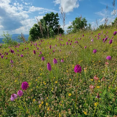 Alloggio per agriturismo Casa Del Vento *